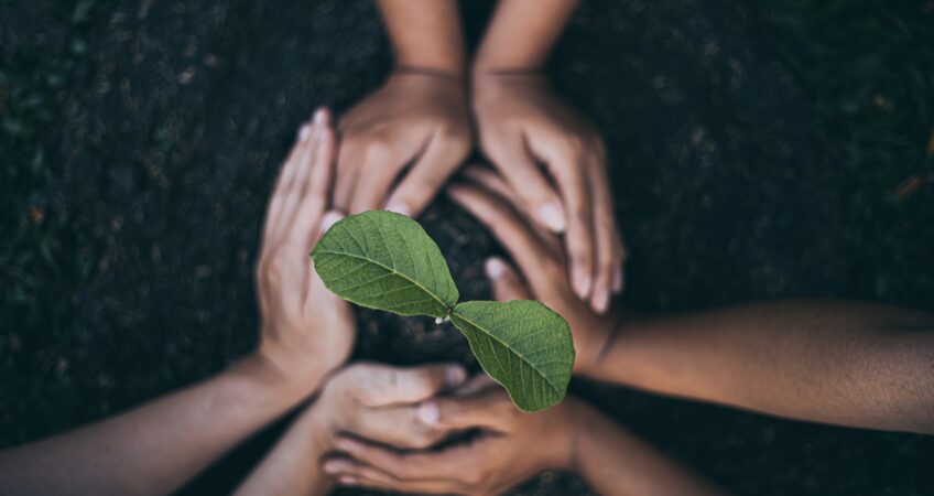 Del Cooperativismo a la Sostebilidad, por un futuro más verde.  